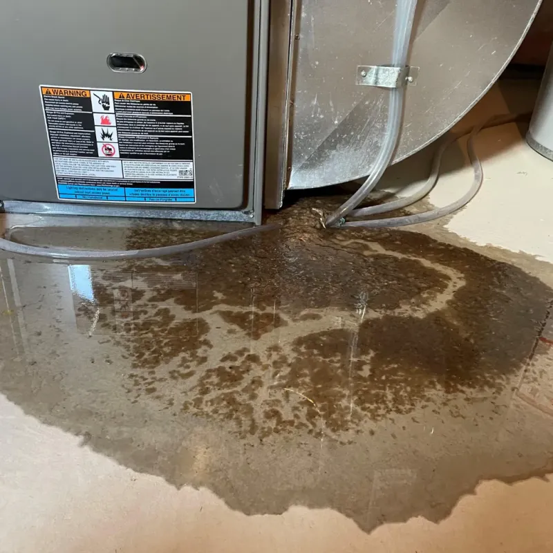 Appliance Leak Cleanup in Grayling, MI